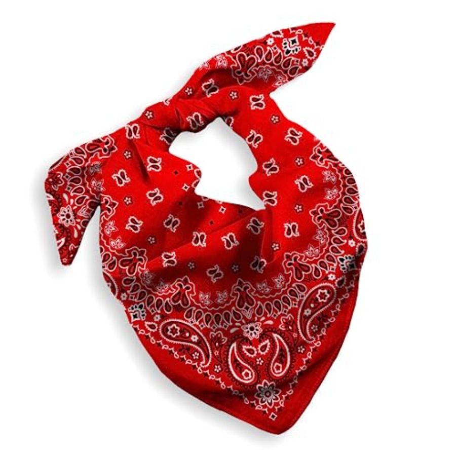 Gift Packaging Bandana for Men - Handkerchief Cotton Men のレビューと価格